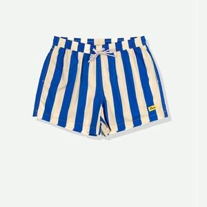 Blue and Cream Striped Swim Trunks